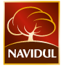 Navidul